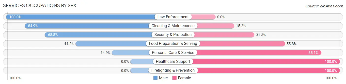 Services Occupations by Sex in Zip Code 23507