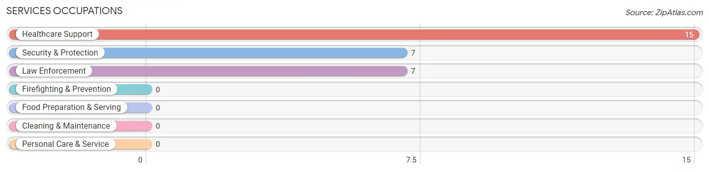 Services Occupations in Zip Code 23511