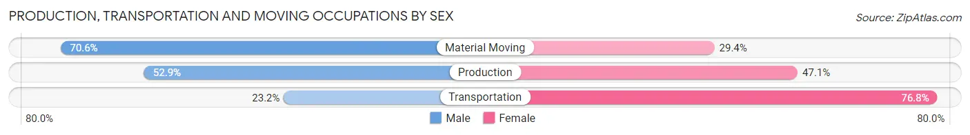 Production, Transportation and Moving Occupations by Sex in Zip Code 23690