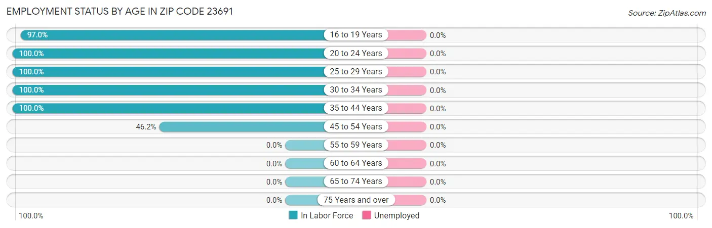 Employment Status by Age in Zip Code 23691