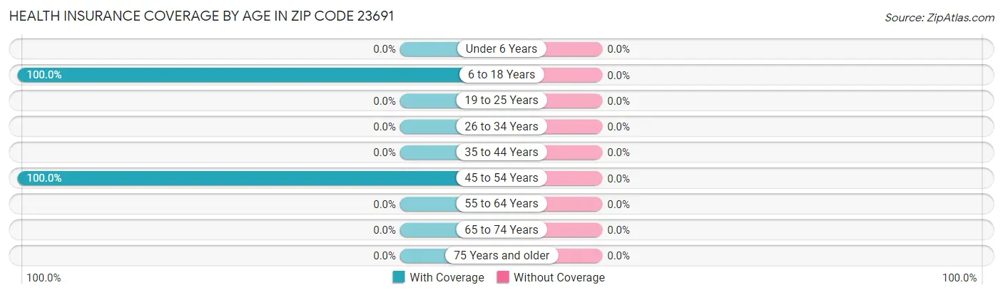 Health Insurance Coverage by Age in Zip Code 23691