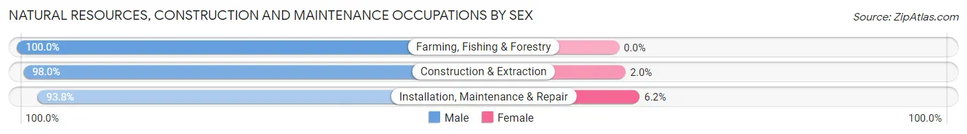 Natural Resources, Construction and Maintenance Occupations by Sex in Zip Code 23703