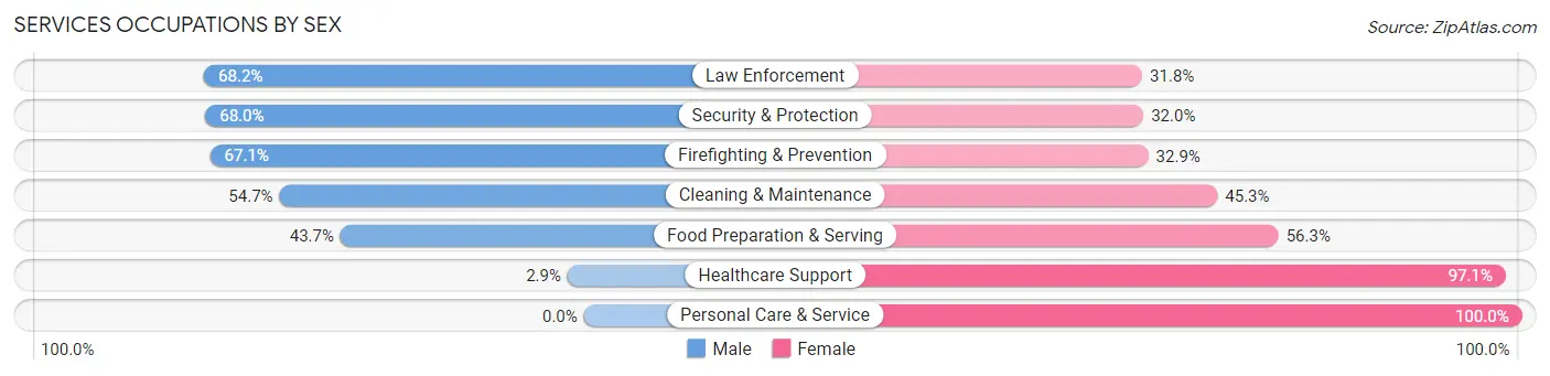 Services Occupations by Sex in Zip Code 23703