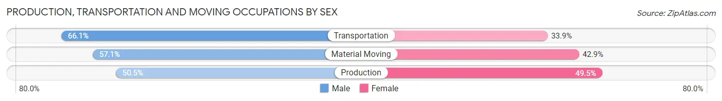 Production, Transportation and Moving Occupations by Sex in Zip Code 23704