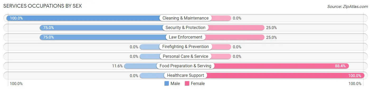 Services Occupations by Sex in Zip Code 23801