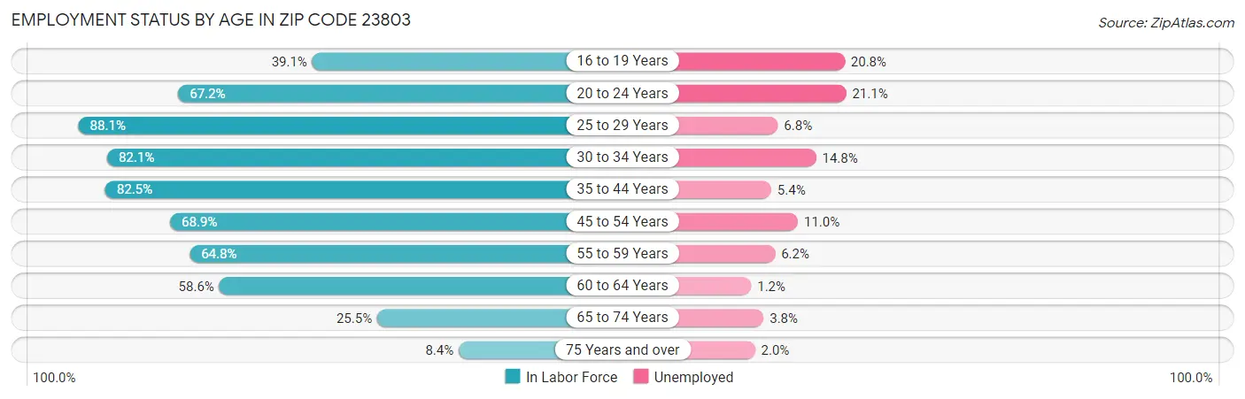 Employment Status by Age in Zip Code 23803