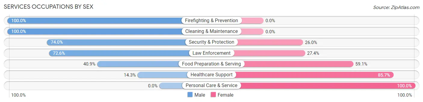 Services Occupations by Sex in Zip Code 23821