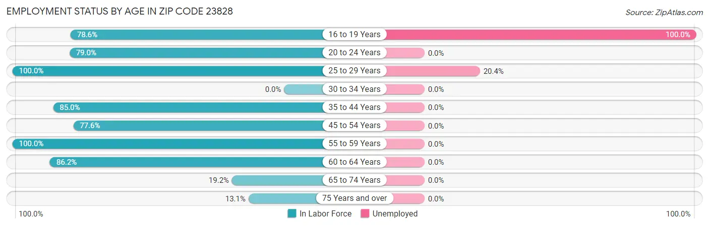 Employment Status by Age in Zip Code 23828
