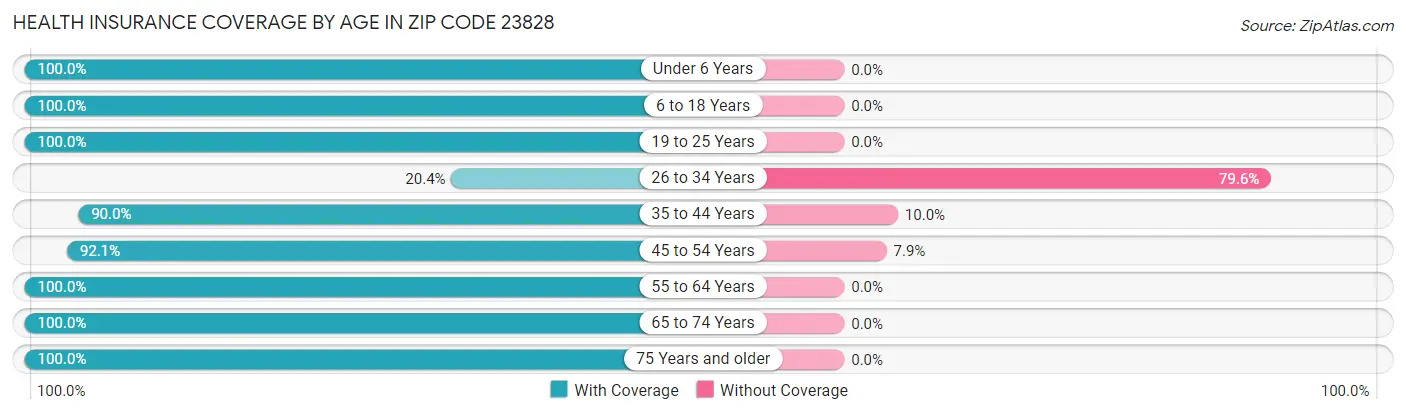 Health Insurance Coverage by Age in Zip Code 23828