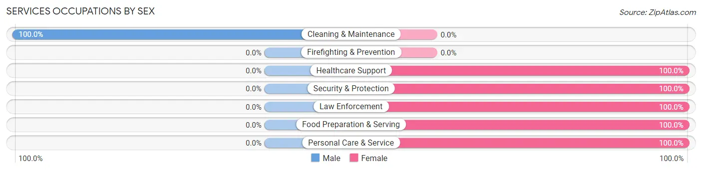 Services Occupations by Sex in Zip Code 23828