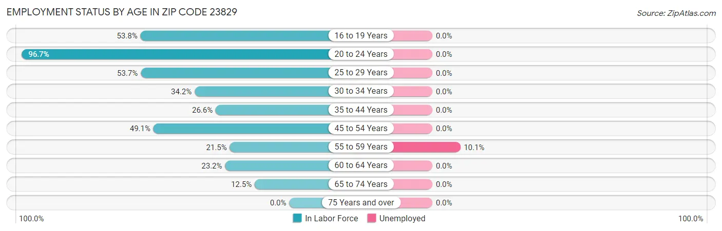 Employment Status by Age in Zip Code 23829