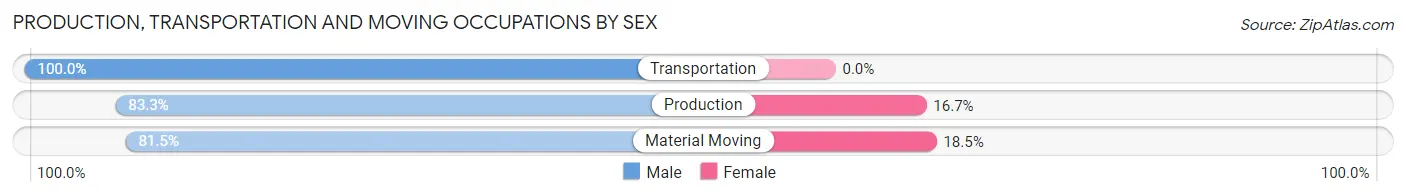Production, Transportation and Moving Occupations by Sex in Zip Code 23829