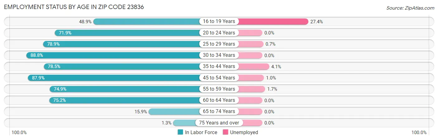 Employment Status by Age in Zip Code 23836