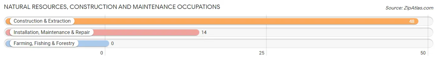 Natural Resources, Construction and Maintenance Occupations in Zip Code 23839