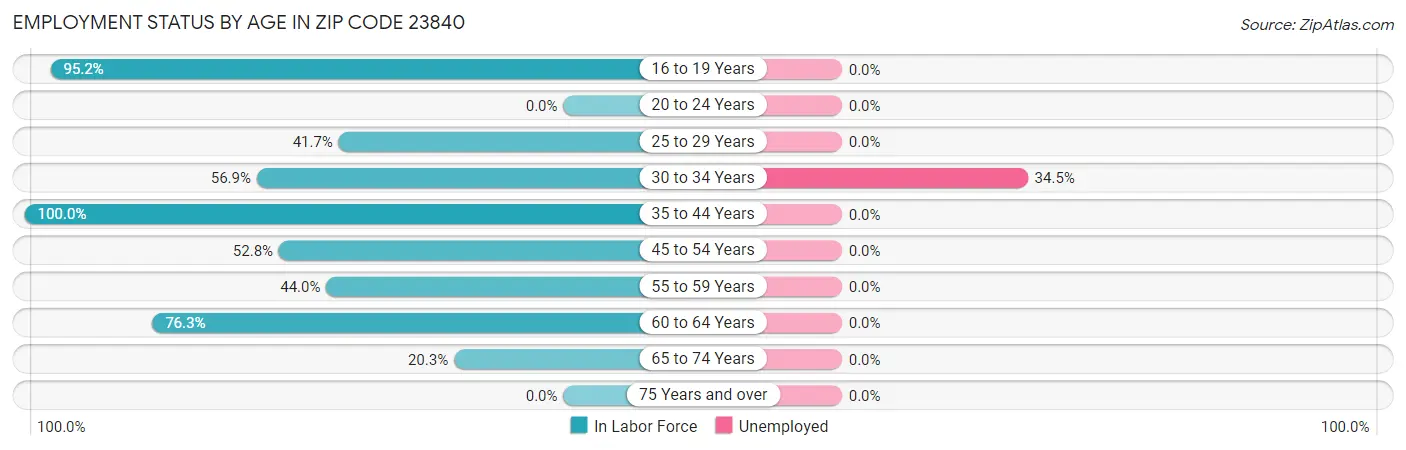 Employment Status by Age in Zip Code 23840