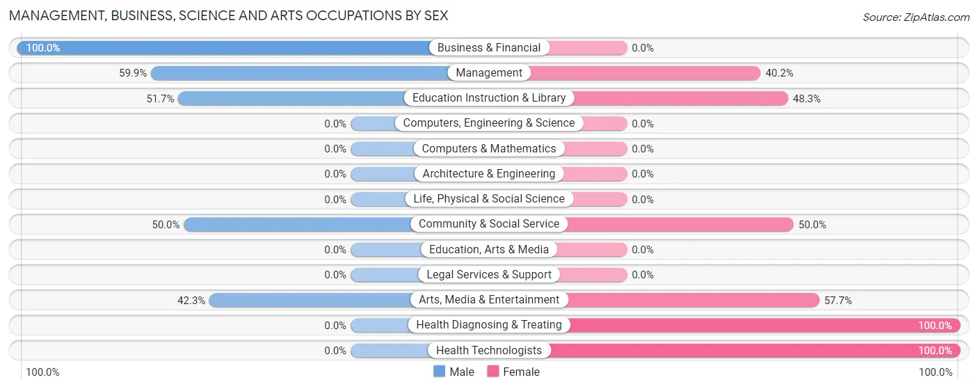 Management, Business, Science and Arts Occupations by Sex in Zip Code 23841