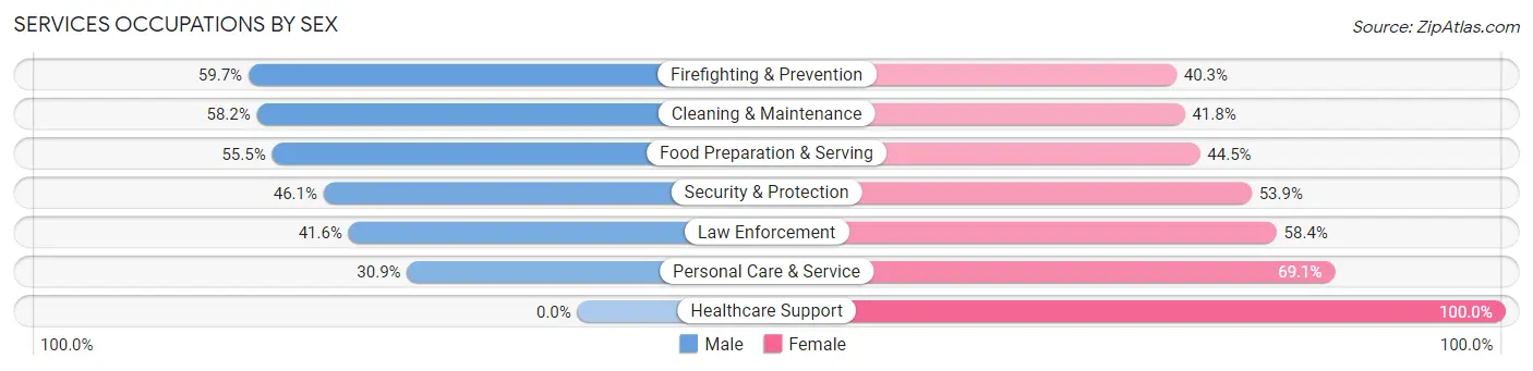 Services Occupations by Sex in Zip Code 23847
