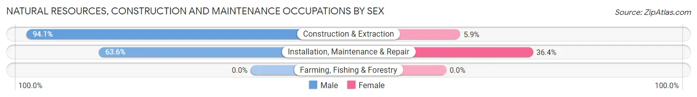 Natural Resources, Construction and Maintenance Occupations by Sex in Zip Code 23851