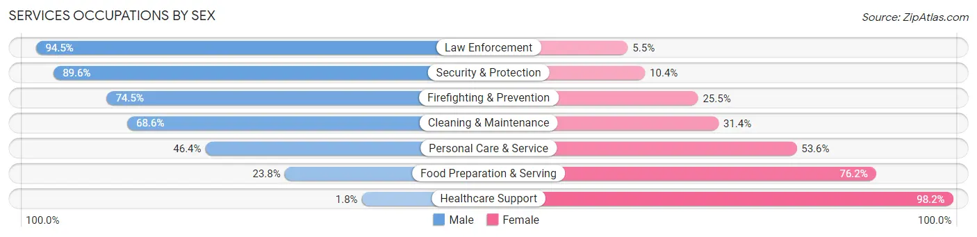 Services Occupations by Sex in Zip Code 23851