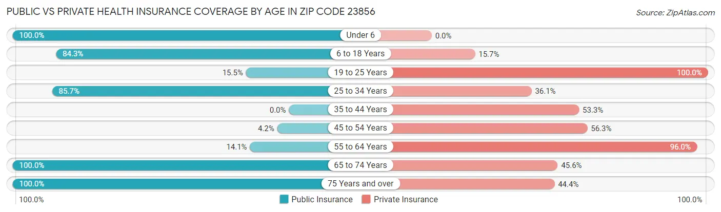 Public vs Private Health Insurance Coverage by Age in Zip Code 23856