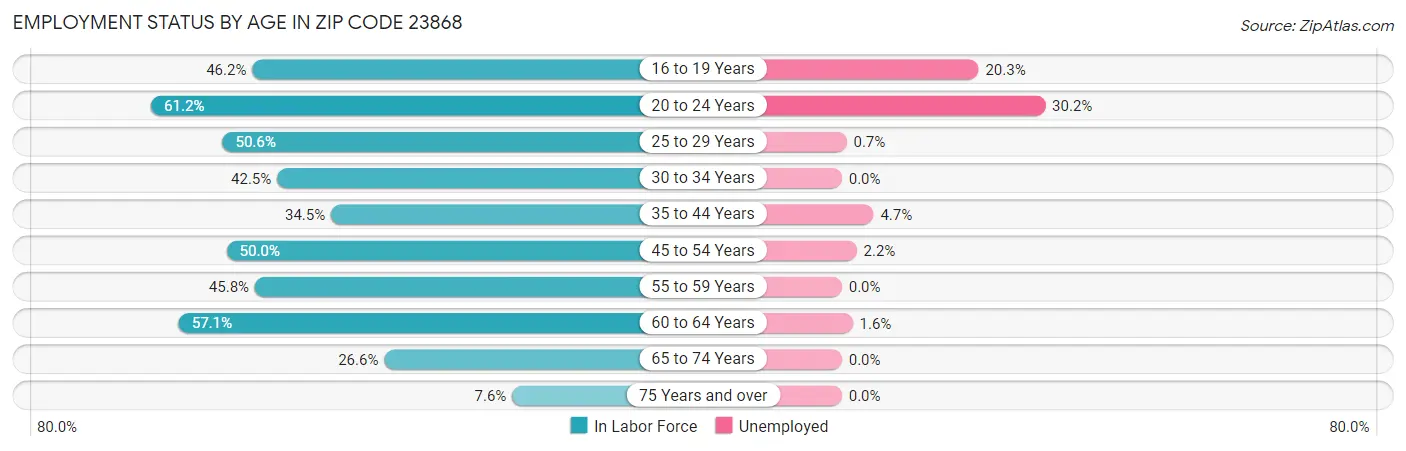 Employment Status by Age in Zip Code 23868