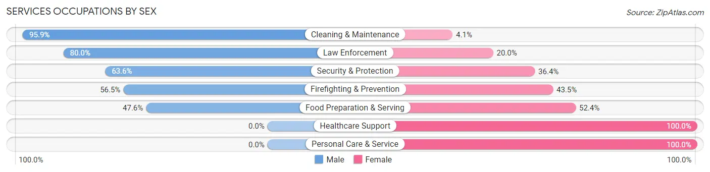 Services Occupations by Sex in Zip Code 23872