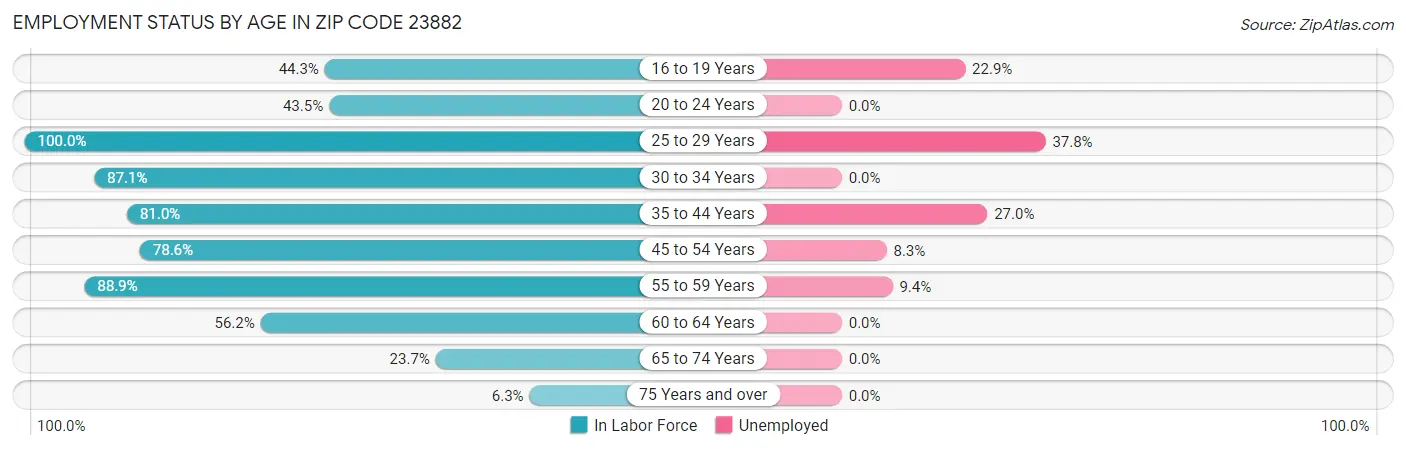 Employment Status by Age in Zip Code 23882