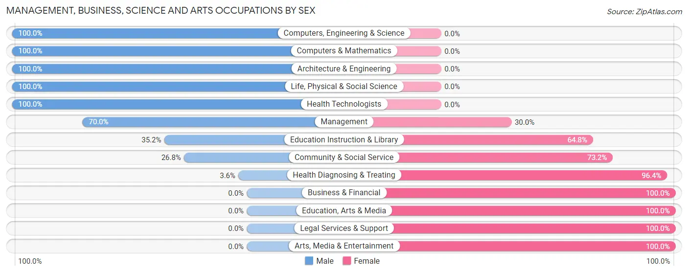 Management, Business, Science and Arts Occupations by Sex in Zip Code 23882