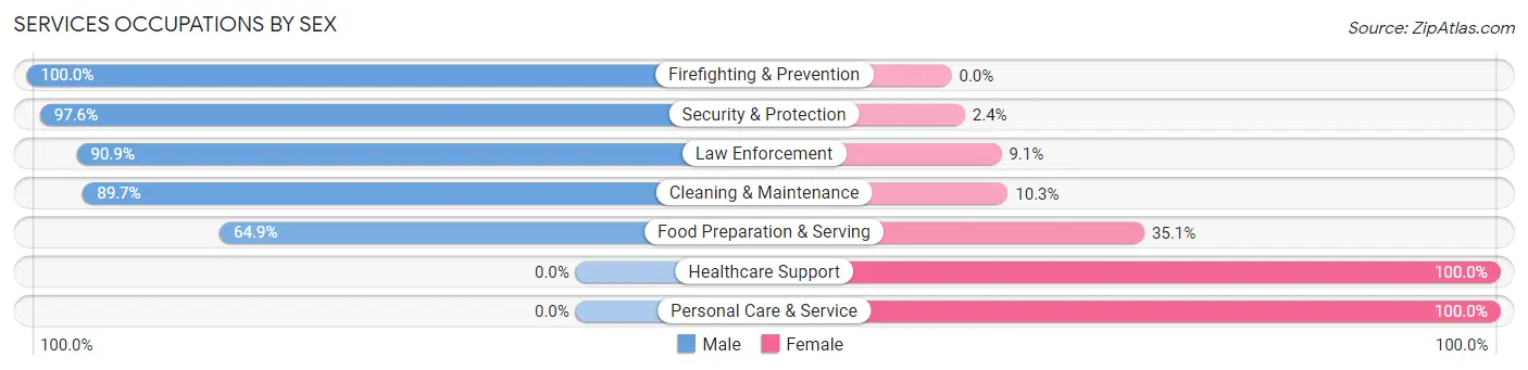 Services Occupations by Sex in Zip Code 23883