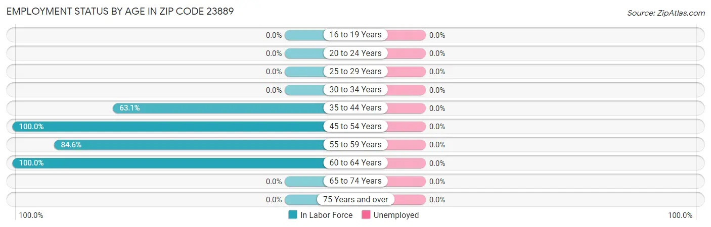 Employment Status by Age in Zip Code 23889