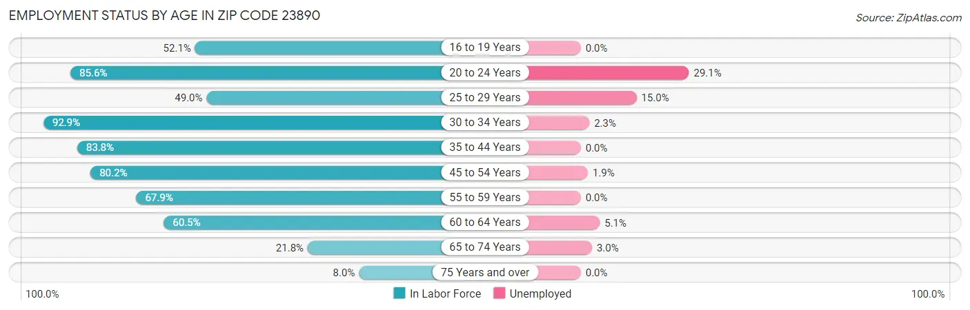 Employment Status by Age in Zip Code 23890