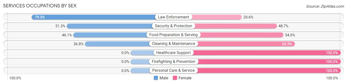 Services Occupations by Sex in Zip Code 23890