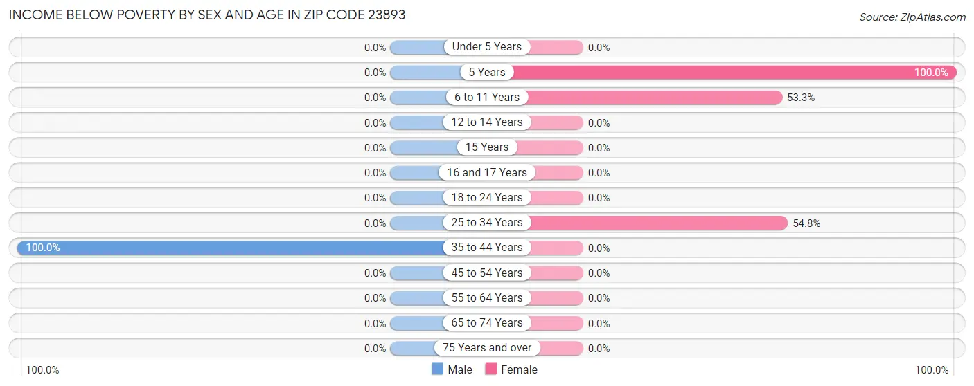 Income Below Poverty by Sex and Age in Zip Code 23893