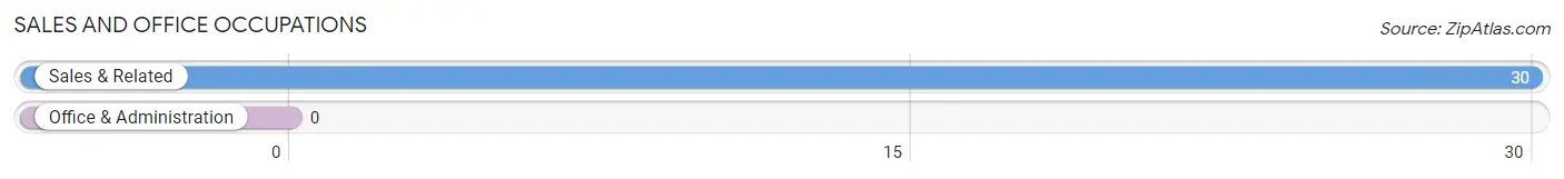 Sales and Office Occupations in Zip Code 23893