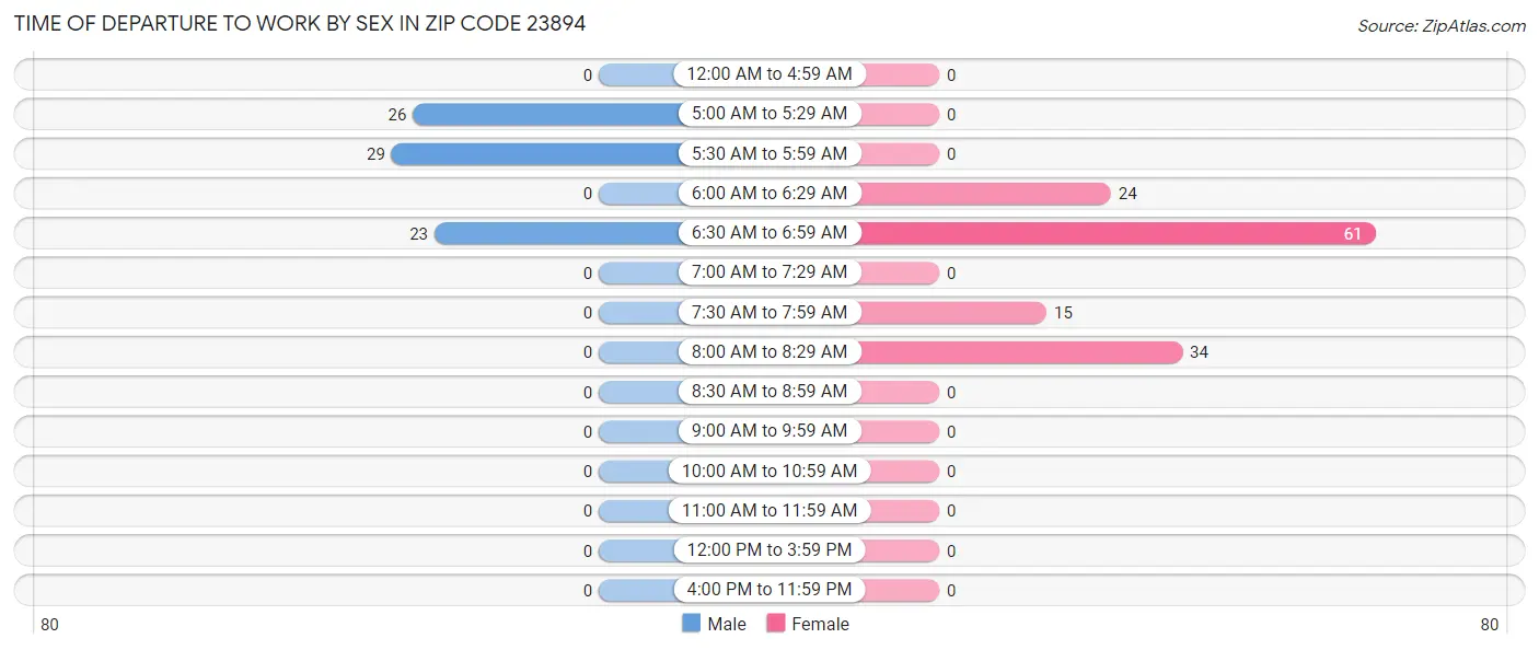 Time of Departure to Work by Sex in Zip Code 23894