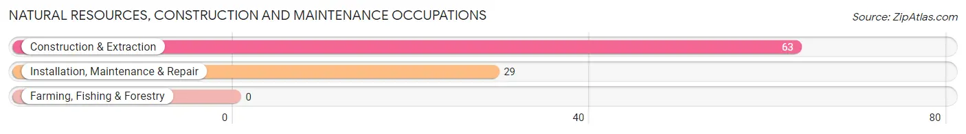 Natural Resources, Construction and Maintenance Occupations in Zip Code 23917