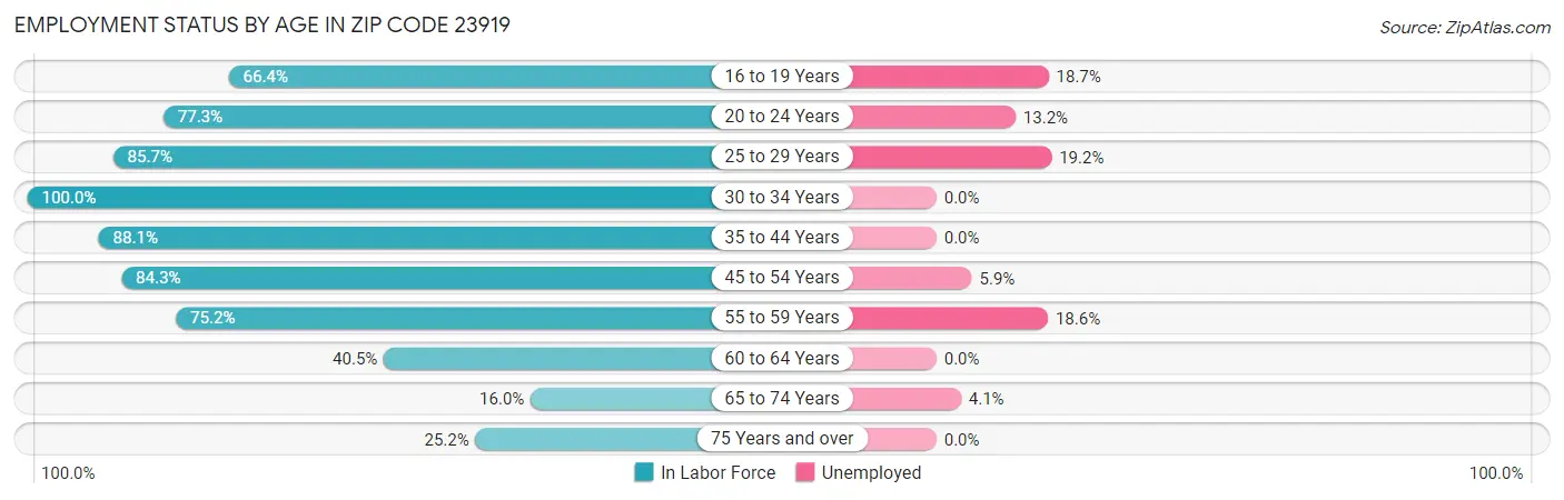 Employment Status by Age in Zip Code 23919