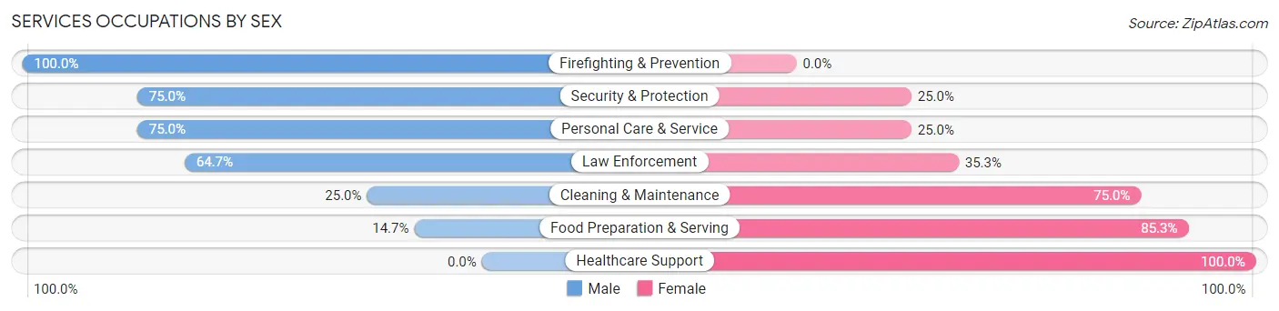 Services Occupations by Sex in Zip Code 23920