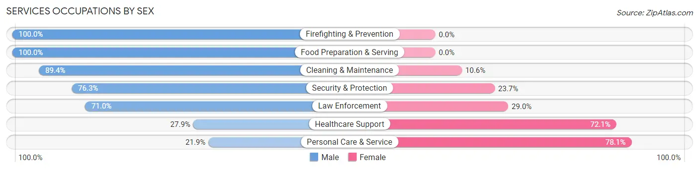 Services Occupations by Sex in Zip Code 23921