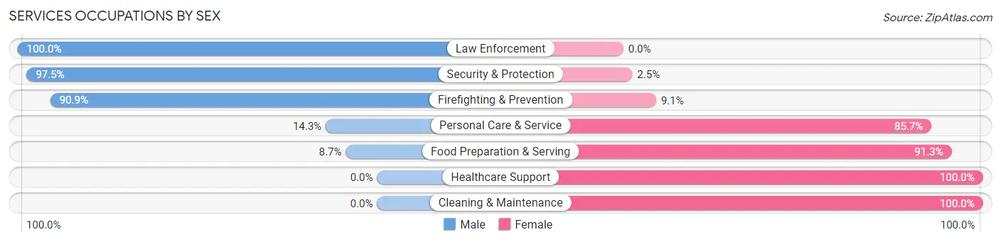 Services Occupations by Sex in Zip Code 23923
