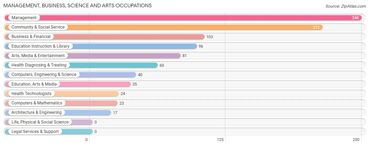 Management, Business, Science and Arts Occupations in Zip Code 23936