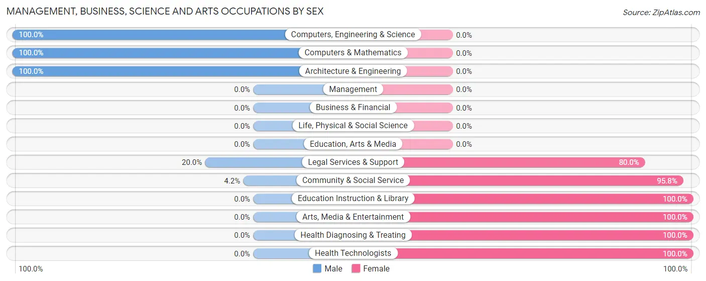 Management, Business, Science and Arts Occupations by Sex in Zip Code 23937
