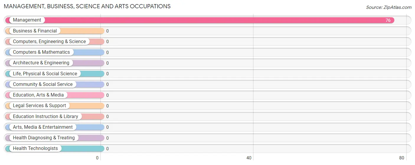 Management, Business, Science and Arts Occupations in Zip Code 23952