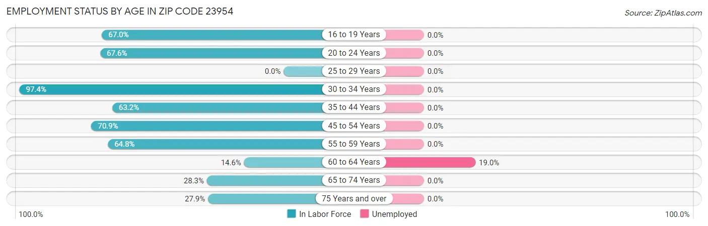 Employment Status by Age in Zip Code 23954