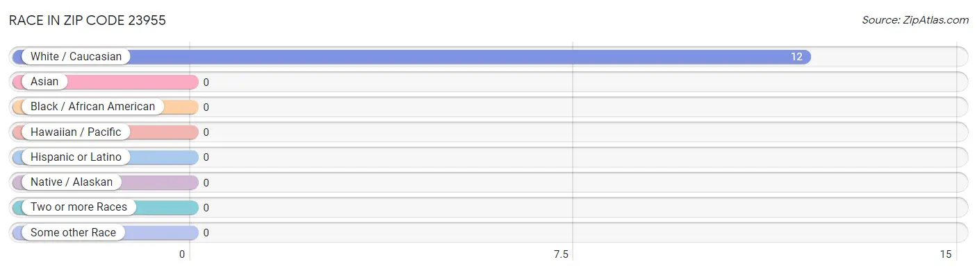 Race in Zip Code 23955