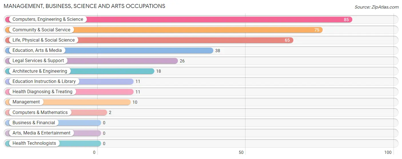 Management, Business, Science and Arts Occupations in Zip Code 23960