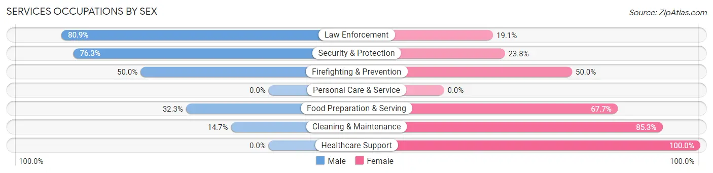 Services Occupations by Sex in Zip Code 23960