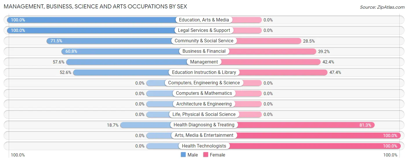 Management, Business, Science and Arts Occupations by Sex in Zip Code 23966