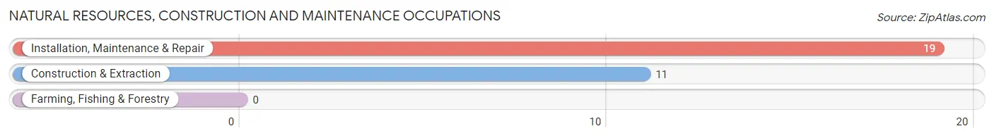 Natural Resources, Construction and Maintenance Occupations in Zip Code 23966