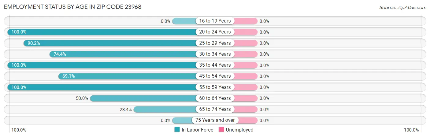 Employment Status by Age in Zip Code 23968